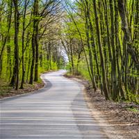 springtime road